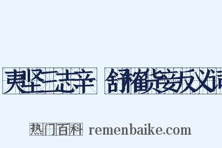 夷坚三志辛·舒榷货妾反义词是什么意思的图片